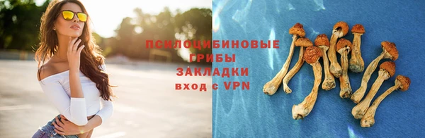 марихуана Белокуриха