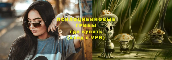 спайс Беломорск