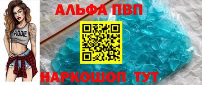 СК Бийск