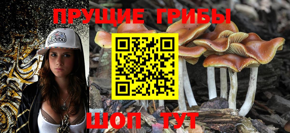 Галлюциногенные грибы MAGIC MUSHROOMS  даркнет сайт  Великие Луки  Вход с VPN 